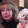 Video: Wonderful Dumb Dog Inheriting $1 Million Home Has More Lavish Life Than You